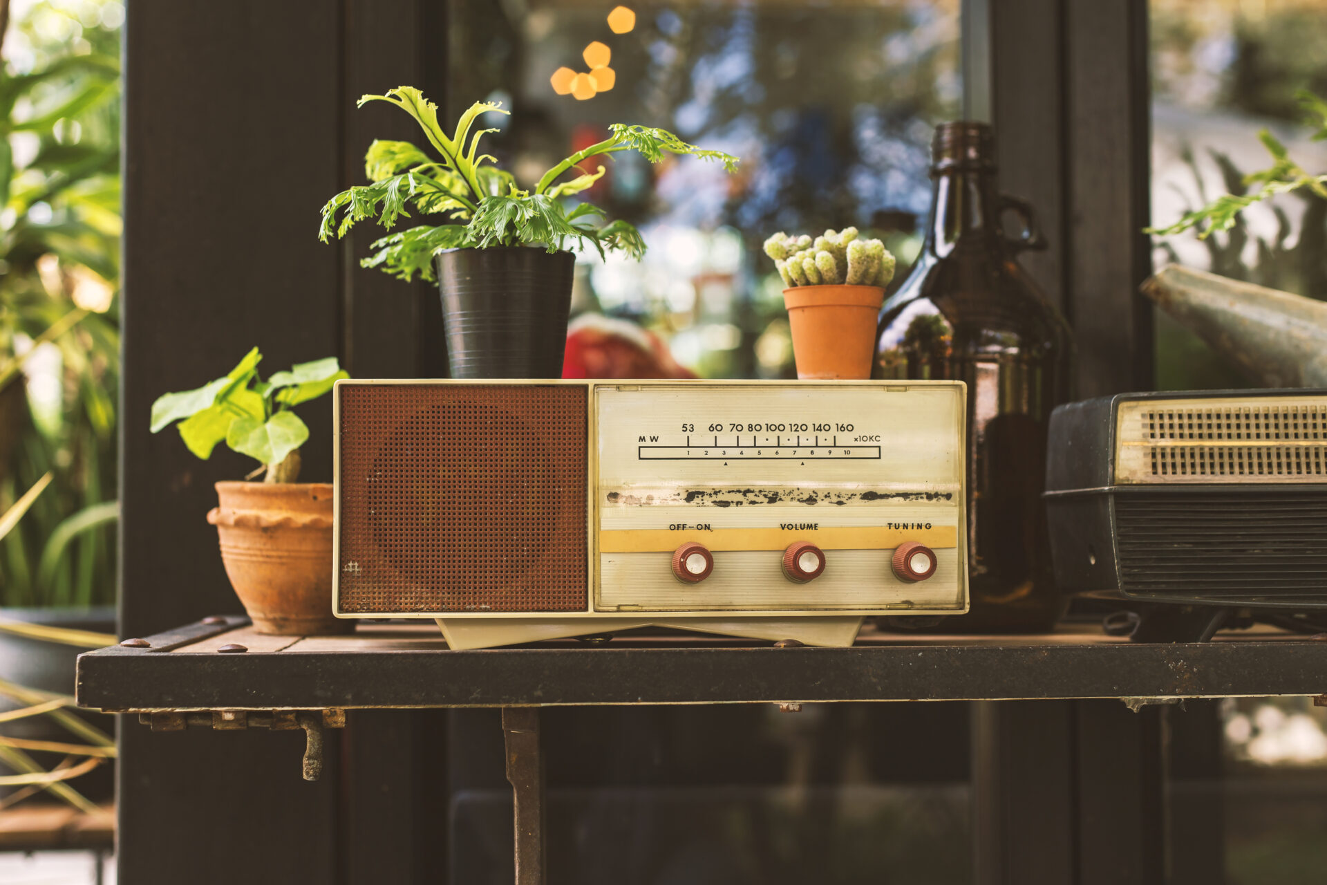 テーブルに置かれた古いラジオと植物