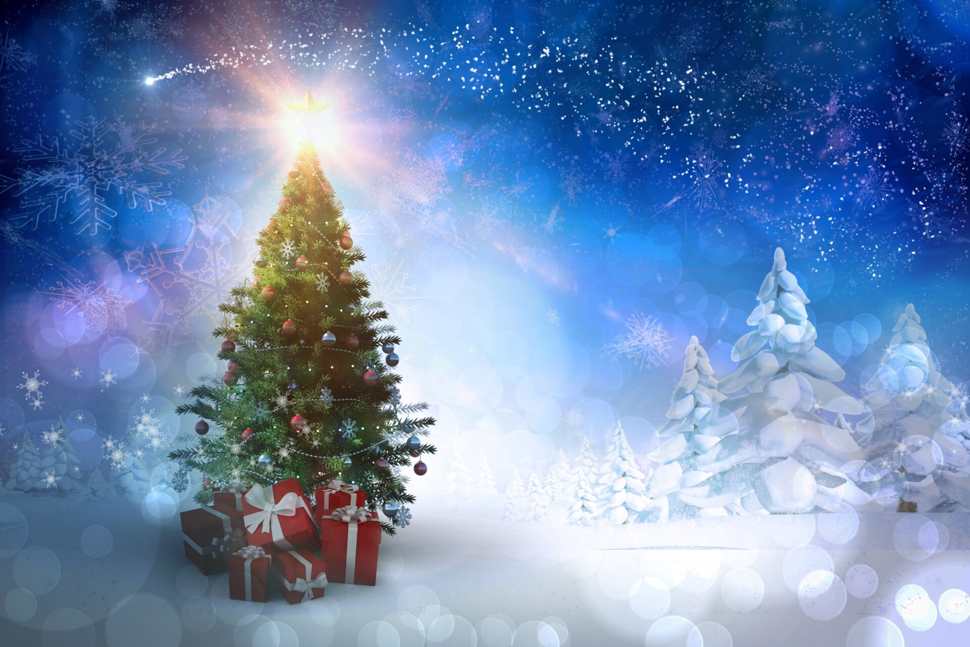白銀に立つクリスマスツリーと青空