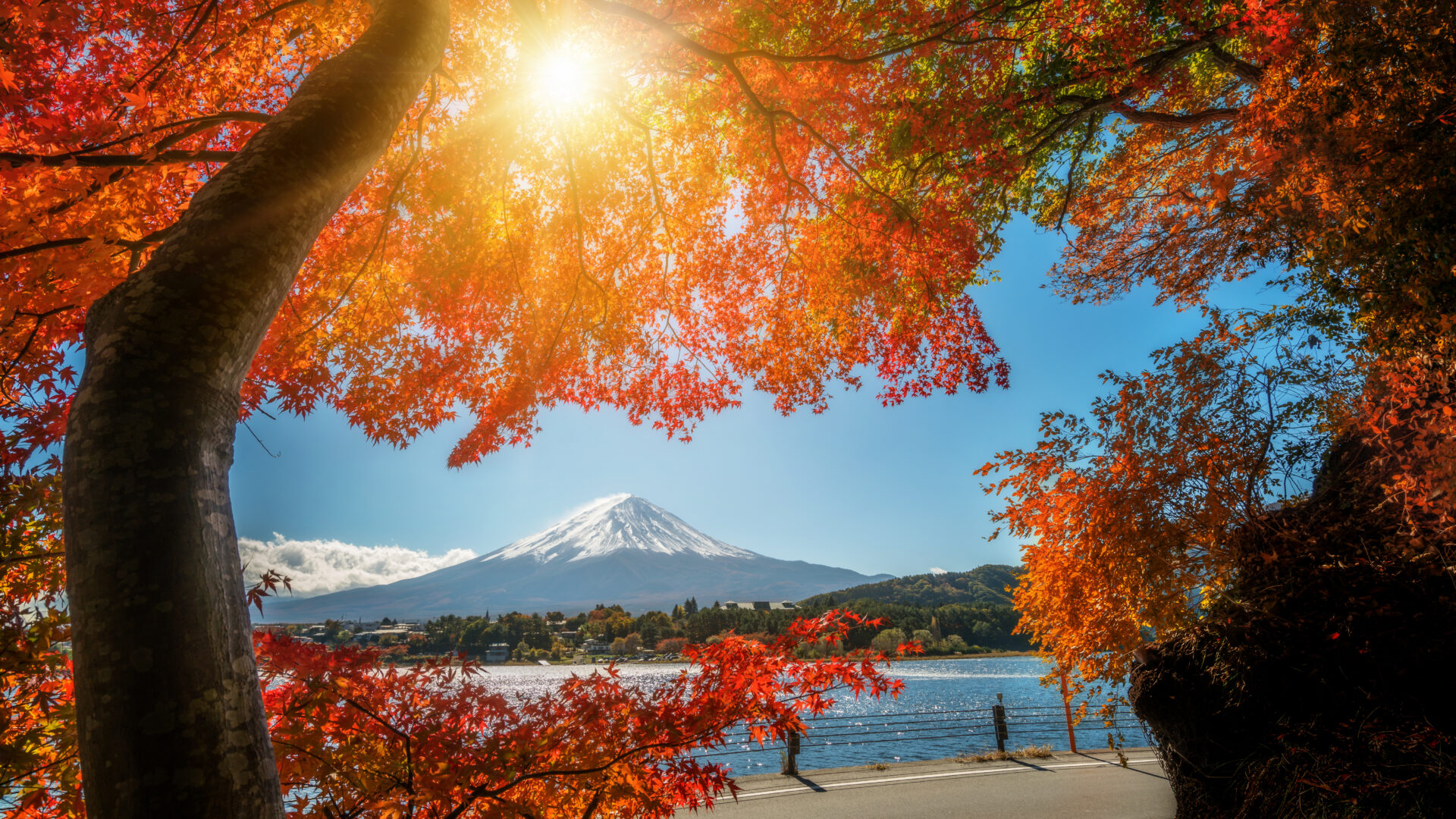 箱根から見た富士山の景色