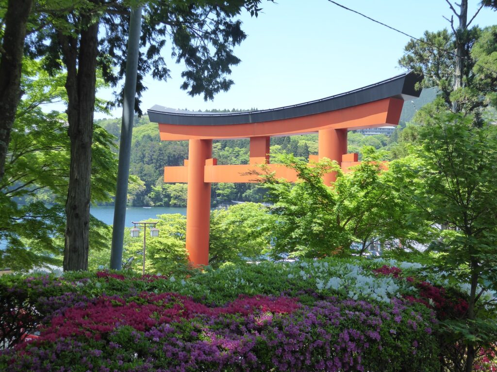 箱根の神社と緑の森