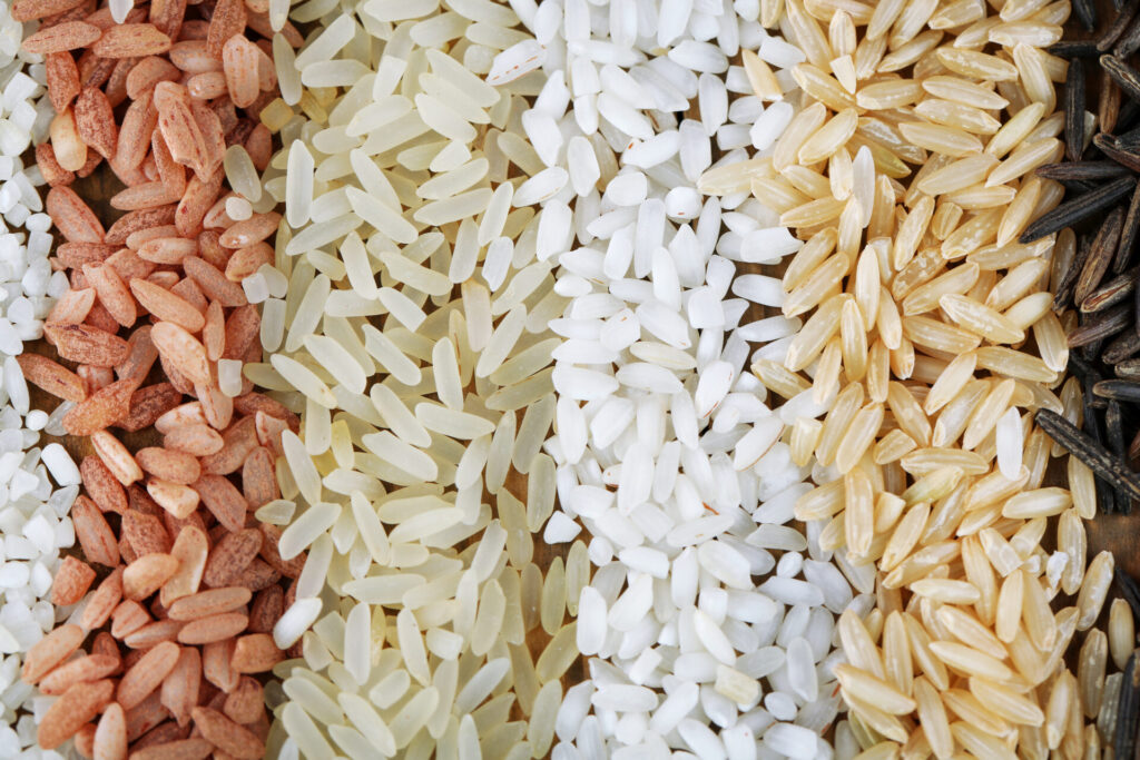 種類や色の違うお米が4種類ライン上に並んでいる